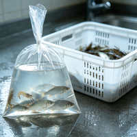 Conteneur de stockage d'eau pliable et peu encombrant, à trois côtés scellés, en HDPE de qualité alimentaire, réutilisable, léger, pour les voyages quotidiens et l'utilisation en extérieur