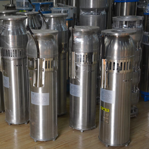 Motor de bomba de agua eléctrica de alta presión de proveedor de Pakistán, 3 pulgadas, 4 HP para fuente, paisajismo, características de agua DIY - Product Image 4