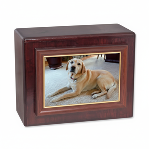 Urnes commémoratives modernes pour animaux de compagnie de Style américain de haute qualité - Product Image 1