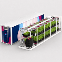 Ferme verticale intelligente tout-en-un Skyplant dans un conteneur maritime avec système d'irrigation hydroponique et de ventilation