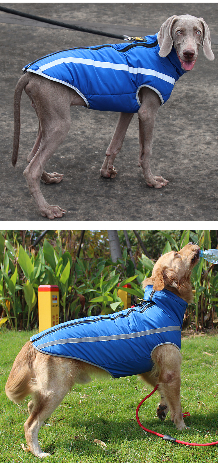 product-1-1 product-1-1