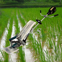 Mini planteur de riz à 1 rangée Planteuse de riz manuelle à vendre Nombre de rangées 1