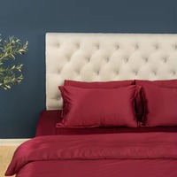 Parure de lit en lyocell naturel certifié OEKO-TEX 300 fils/cm² toutes saisons, 300 ensembles, housse de couette unie et colorée, écologique pour la maison