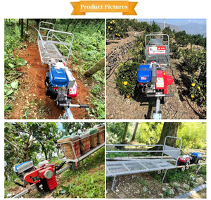 Véhicule de transport monorail pour jardins de thé agricoles, train de transport agricole monorail - Product Image 4