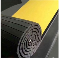 Tapis de sol en vinyle lisse XPE pour BJJ et MMA, épaisseur 2cm-5cm, personnalisable avec couleur sur mesure pour exercices en extérieur