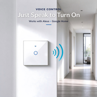 Penjualan Panas Saklar WiFi Standar EU 1 Gang Tuya Smart Life Saklar Lampu Dinding 10A untuk Penggunaan di Rumah Pintar yang Dipasang di Dinding.