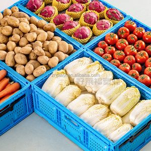 Contenitore Pieghevole in PP per Alimenti, Casse Impilabili Ventilate con Rete per Trasporto di Verdura e Frutta in Magazzino - Product Image 5