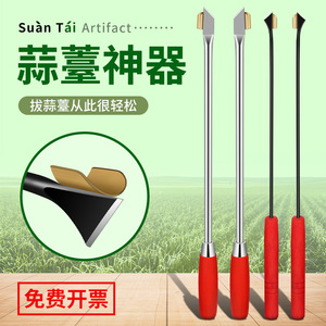 Garlic Scape Knife Stainless Steel Extended Rust Resistant Agricultural Harvesting Tool - Product Image 3