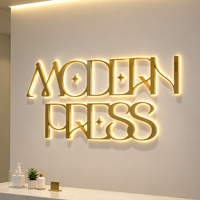 Enseigne lumineuse LED 3D personnalisée rapide en métal brossé, lettres lumineuses murales pour salon de beauté, SPA, clinique, studio