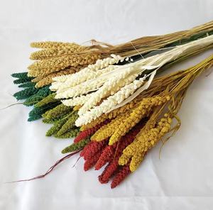 Tiges de millet rétro en gros, épis de céréales naturelles, fleurs séchées préservées pour arrangements, garniture de vase, décoration bohème pour la maison et les mariages - Product Image 3