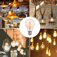 Vente chaude A60 Focus E27 220V 5.5W Ampoules LED Filament Lights avec corps en verre pour un usage résidentiel