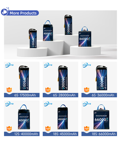 بطارية طائرة بدون طيار من النوع الصلب DEM/ODM 4/6/7/8/9/10/12/14s 11ah/13ah/16ah/22ah/25/27ah/30ah/32ah/44ah/54ah/66ah 260/270/300/340wh/kg - Product Image 1