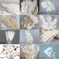 Fleurs de glycine blanchies, fleurs séchées et préservées de couleur blanche, fleurs d'amarante et de fougère pour bouquet de mariage, décoration murale et intérieure
