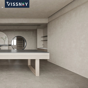 Peinture microciment acrylique Vissney décorative pour intérieur, pour murs et sols, couleurs personnalisées, durée de vie de 20 ans - Product Image 4