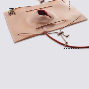 Maniquí de Gran Tamaño con Simulación de Heridas de Bala para Entrenamiento de Control de Hemorragias, Modelo de Enseñanza Médica, Simulación de Trauma - Product Image 4