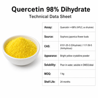 Pabrik LCHBIO Quercetin 98% Dihidrat Bubuk CAS 6151-25-3 Ekstrak Herbal Alami Premium yang Diekstrak dengan Pelarut, Makanan Kesehatan
