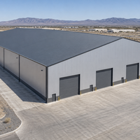 Structure en acier Mega Span pour entrepôt logistique de stockage en vrac, système de bâtiment industriel métallique préfabriqué