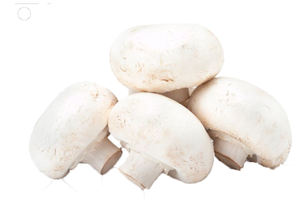 Extrait de <span class=keywords><strong>champignon</strong></span> Agaricus Bisporus en poudre, polysaccharide de <span class=keywords><strong>champignon</strong></span> blanc à boutons, 30% - Product Image 3