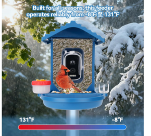 Comedero Inteligente para Pájaros con Cámara, Identificación de Especies de Aves con IA en 2K HD, Cámara de Observación de Aves con Panel Solar, Regalos Originales - Product Image 5