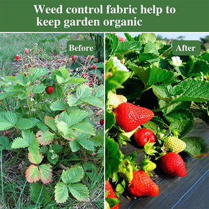Toile de paillage robuste anti-mauvaises herbes pour aménagement paysager, tapis de couverture de <span class=keywords><strong>sol</strong></span> pour jardinage, toile de contrôle des adventices - Product Image 2