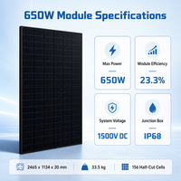 Panneau solaire 650W demi-cellules tout noir type N TOPCon bifacial double vitrage, efficacité 23,3%, garantie 30 ans TUV IEC CE
