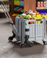Chariot de transport pliable multifonctionnel et portable pour la maison, boîte de rangement de camping 30L-40L en plastique PP, simplicité moderne