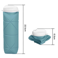 Gobelet de voyage télescopique pliable en silicone de qualité alimentaire 600 ml, réutilisable, anti-fuite, pour sports de plein air