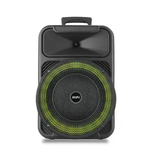 Big Power System echo dot 12 inch Stage Trolley Speaker with fire LED Light DJ speaker wireless