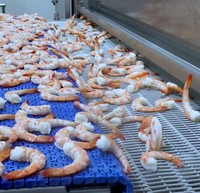 Bande transporteuse en maille métallique de qualité alimentaire pour lignes de production de surgélation et de lavage rapides des produits aquatiques et des fruits de mer