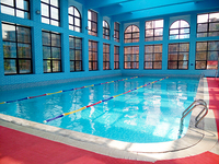 Échelle de piscine 3 marches en acier inoxydable, en promotion