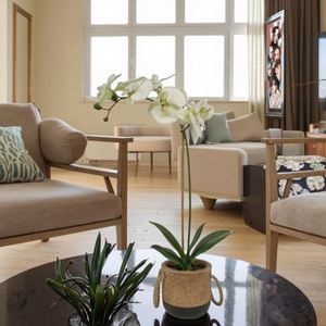 Orquídea de Estilo Moderno, Tacto Real, Impresión 3D, Maceta de Tela, Flores Artificiales Decorativas para Decoración Interior y Exterior - Product Image 5