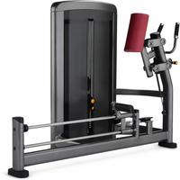 Équipement de musculation professionnel pour salle de sport : Ensemble complet de machines Pec Deck, Chest Press et Leg Trainer en plastique