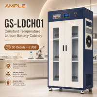 Armoire de gestion de batteries au lithium à température constante, double porte, 3 niveaux, 30 prises, 6 ports USB pour entrepôt d'usine