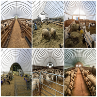 Bâtiment préfabriqué à structure en acier à grande portée et haute résistance pour l'élevage de bétail et de moutons, à faible coût, en promotion
