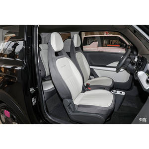 Groothandel Hoge Kwaliteit Geely Panda Karting Ev Auto 120Km Bereik <span class=keywords><strong>2</strong></span> Zitplaatsen Nieuwe Energie Voertuigen Mini Auto 'S Goedkope Prijs - Product Image 5