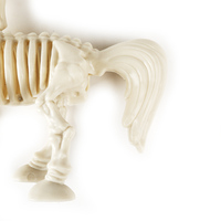 Drôle Spooky Figurine Jouet Haunt House Prop Licorne Squelette Effrayant Intérieur Extérieur Halloween Décor