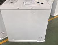Congélateur Coffre OEM 100L 150L 200L 250L 300L à Porte Unique, Ouverture par le Haut, Blanc