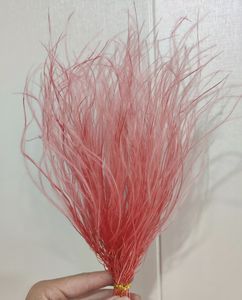 Vente chaude Ins Home Event Decor Préservé Stipa Tenuis Plume Herbe Fleurs pour Mariage et Halloween DIY Arrangements - Product Image 6