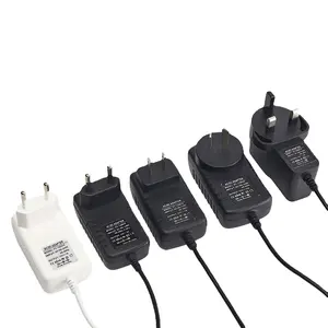 Venta directa AC DC EU UK AU US 12V 2A fuente de alimentación 24W con nuevos productos al por mayor