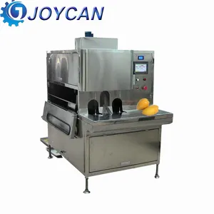 Chayote peeling machine Apple peeling en snijmachine Ingeblikt fruit peeling machine