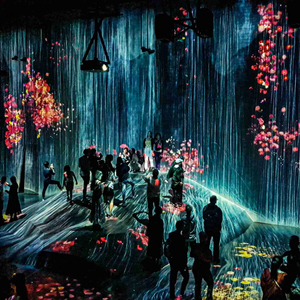 Nhập vai 3D chiếu Lập Bản Đồ tương tác sàn tường hệ thống chiếu cho Bảo tàng triển lãm nghệ thuật - Product Image 3