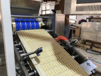 Idées de machine pour petites entreprises Type de plateau Machine de production de biscuits mous