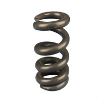 Hongsheng – ressort hélicoïdal en spirale en acier inoxydable noir, personnalisé, coloré, Suspension automatique, abaissement du ressort hélicoïdal