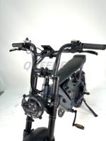 20 pouces haute vitesse 48V60V double moteurs double batteries vélo tout-terrain électrique gros pneu course Ebike