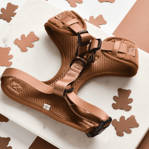 Harness Teddy Mesh Super lembut, jenis Step-in ramah lingkungan tali anjing Set dasi kupu-kupu kain anjing mewah beruang kecil dan sedang - Product Image 4