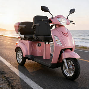 Tricycle électrique pour adultes pratique 60V / 1000W / Stable et sûr / Tricycle à trois roues pour passagers / VISTA-L1 - Product Image 1