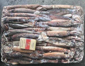 Mực Illex Đông Lạnh 200-300G - Product Image 5