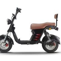 Trottinette électrique 2000W avec batterie plomb-acide 60V20Ah, moteur sans balais, suspension intégrale, pneus larges haute vitesse pour trajets quotidiens