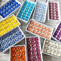 Fourniture d'usine : Têtes de roses préservées de 2 à 3 cm, 21 pièces, matériel floral DIY pour décorations de mariage et de maison, nouveautés pour arches de mariage