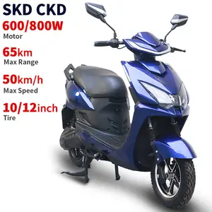 Trung quốc Xe máy điện Scooter 600W/800W 45-55km/h tốc độ 45-65km Phạm vi điện xe máy với pin lithium tốc độ cao
